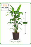 Artificial Bird of Paradise Tree 180 cm Ð Tall Indoor Plant with Brown Pot