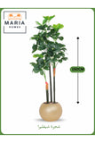 Artificial Schefflera Tree 150 cm Ð Decorative Indoor Plant with Gold Pot