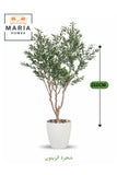 Artificial Olive Tree 210 cm Ð Green Foliage with White Plastic Pot for home & office decor