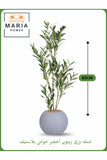 Artificial Olive Tree 85 cm Ð Realistic Green Leaves in Grey Plastic Pot