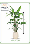 Artificial Bird of Paradise Tree 180 cm Ð Tall Indoor Plant with Beige Pot