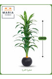Artificial Corn Leaf Tree 145 cm Ð Decorative Indoor Plant with Black Pot