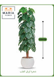 Artificial Monstera Tree 200 cm Ð Decorative Indoor Plant with White Pot
