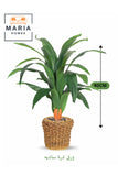 Artificial Corn Leaf Plant 80 cm Ð Decorative Green Plant with Woven Basket Pot for home and office