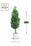 Artificial Lemon Leaf Tree 200 cm Ð Green Foliage in White Plastic Pot for home decor