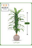 Artificial Corn Leaf Tree 145 cm Ð Decorative Indoor Plant with Beige Pot
