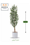 Artificial Olive Tree 190 cm Ð Tall Indoor Decorative Plant with White Pot for Home & Office