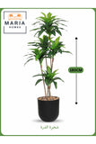Artificial Corn Leaf Tree 180 cm Ð Indoor Faux Plant with Black Pot