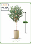 Artificial Olive Tree 230 cm Ð Large Decorative Tree with Gold Pot