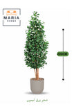 Artificial Lemon Leaf Tree 200 cm Ð Green Foliage in Light Gray Plastic Pot for home decor