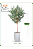 Artificial Olive Tree 230 cm Ð Large Decorative Tree with White Pot