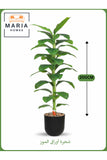 Artificial Banana Leaf Tree 200 cm Ð Tall Indoor Plant with Black Pot