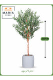 Artificial Olive Tree 210 cm Ð Tall Decorative Tree in Gray Pot