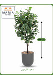 Artificial Lemon Tree 115 cm Ð Indoor Decorative Plant with Gray Pot
