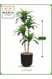 Artificial Corn Leaf Tree 140 cm Ð Indoor Decorative Plant with Black Pot