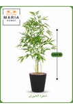 Artificial Bamboo Tree 130 cm Ð Indoor Decorative Plant with Black Pot