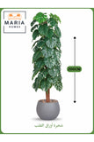 Artificial Monstera Tree 200 cm Ð Decorative Indoor Plant with Gray Pot