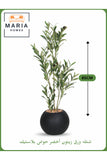 Artificial Olive Tree 85 cm Ð Realistic Green Leaves in Black Plastic Pot