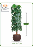 Artificial Monstera Tree 200 cm Ð Decorative Indoor Plant with Brown Pot