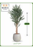 Artificial Olive Tree 170 cm Ð Decorative Indoor Tree with Light Gray Pot