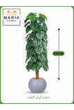 Artificial Monstera Tree 200 cm Ð Tall Faux Plant with Gray Pot