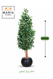 Artificial Lemon Leaf Tree 200 cm Ð Green Foliage in Round Black Plastic Pot for home decor