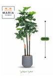 Artificial Schefflera Tree 155 cm Ð Indoor Decorative Plant with 3 Trunks in Grey Pot