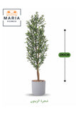 Artificial Olive Tree 190 cm Ð Tall Decorative Indoor Plant with Pot for Home & Majlis