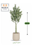 Artificial Olive Tree 150 cm Ð Decorative Green Plant with Modern Plastic Pot