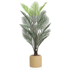 أشجار النخيل