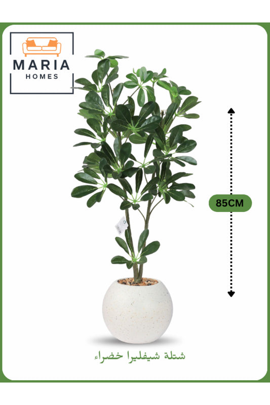 Artificial Schefflera Plant 85 cm Ð Decorative Indoor Plant with White Pot