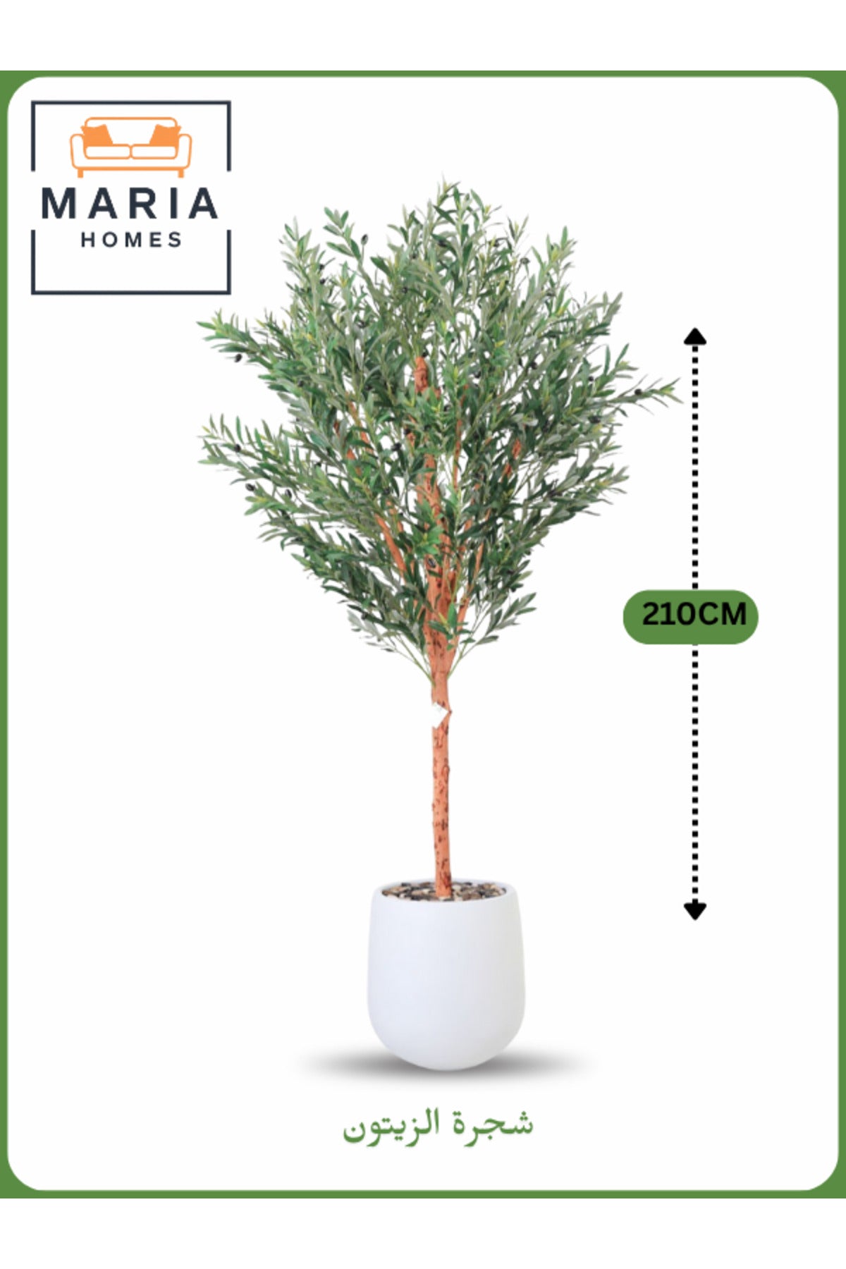 Artificial Olive Tree 210 cm Ð Large Indoor Decorative Tree with White Pot