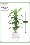 Artificial Green Leaf Tree 130 cm Ð Decorative Indoor Plant with White Pot