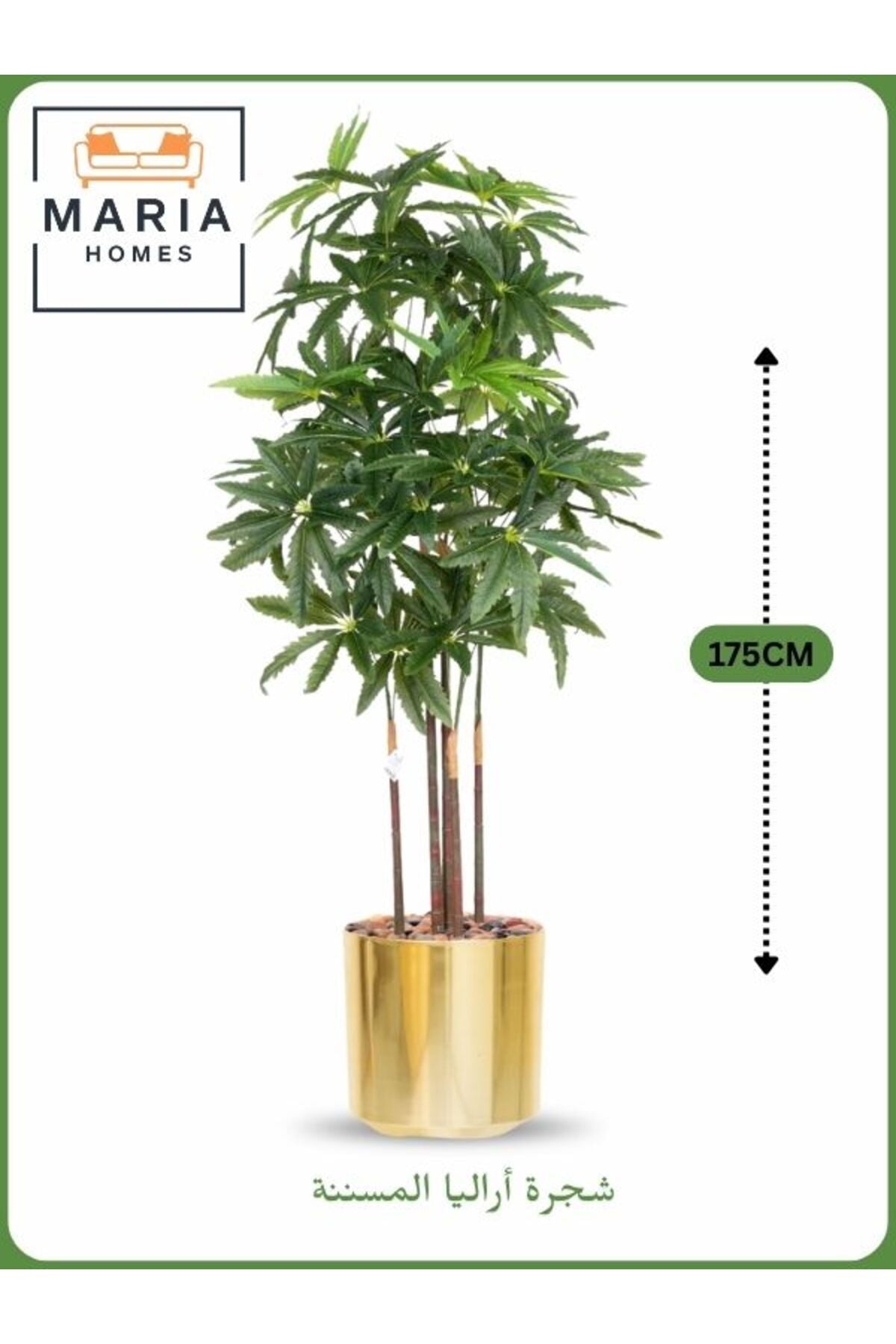 Artificial Aralia Tree 175 cm Ð 5 Branches in Gold Plastic Pot