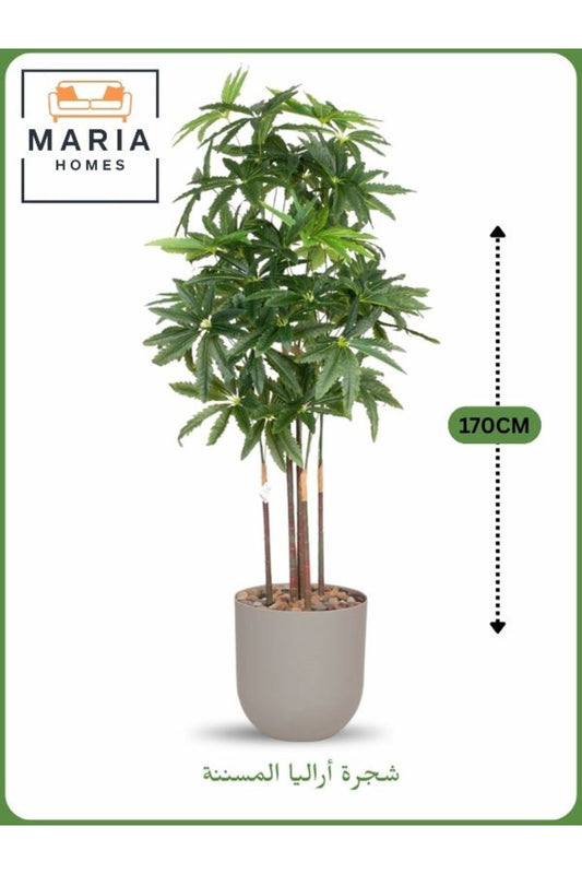 Artificial Aralia Tree 170 cm Ð 5 Branches in LIGHT Grey Plastic Pot