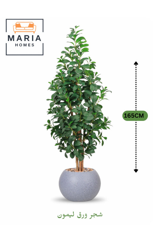 Artificial Lemon Leaf Tree 165 cm Ð Green Foliage in Round Grey Plastic Pot for home decor