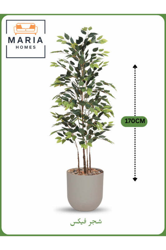Artificial Ficus Tree 170 cm Ð Decorative Indoor Plant with Beige Pot