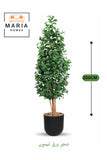 Artificial Lemon Leaf Tree 200 cm Ð Green Foliage in Black Plastic Pot for home decor