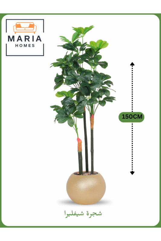 Artificial Schefflera Tree 150 cm Ð Decorative Indoor Plant with Gold Pot