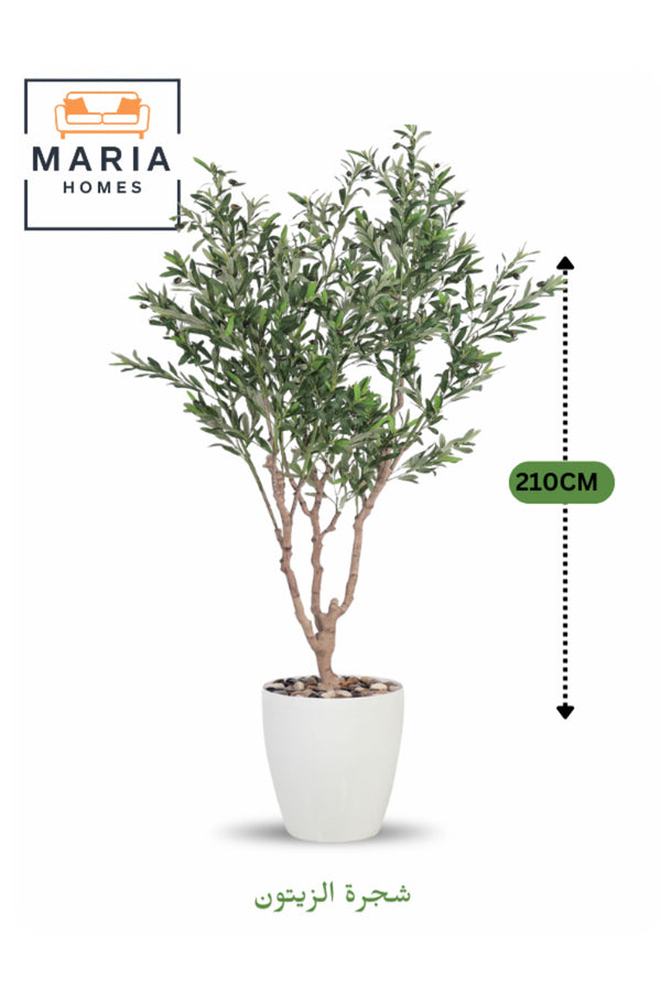 Artificial Olive Tree 210 cm Ð Green Foliage with White Plastic Pot for home & office decor