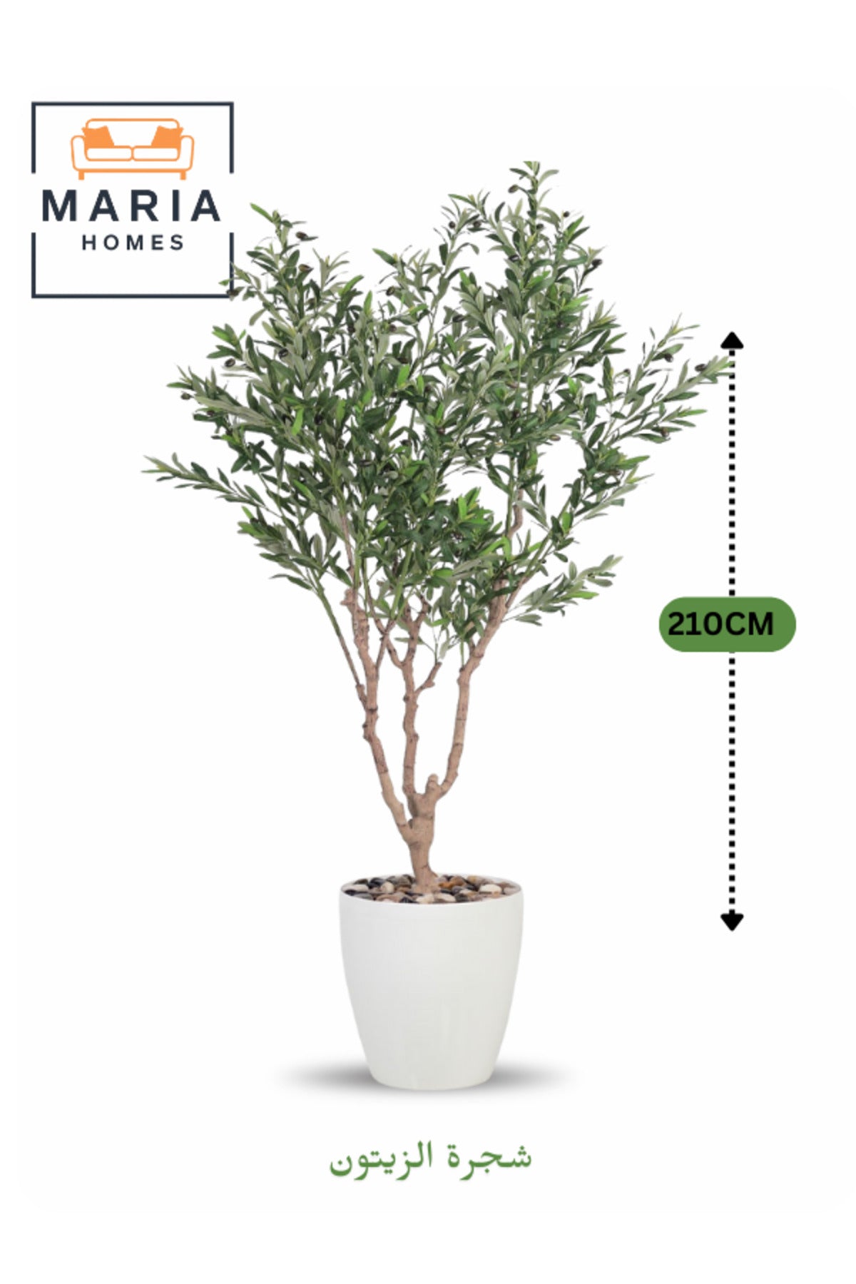 Artificial Olive Tree 210 cm Ð Green Foliage with White Plastic Pot for home & office decor