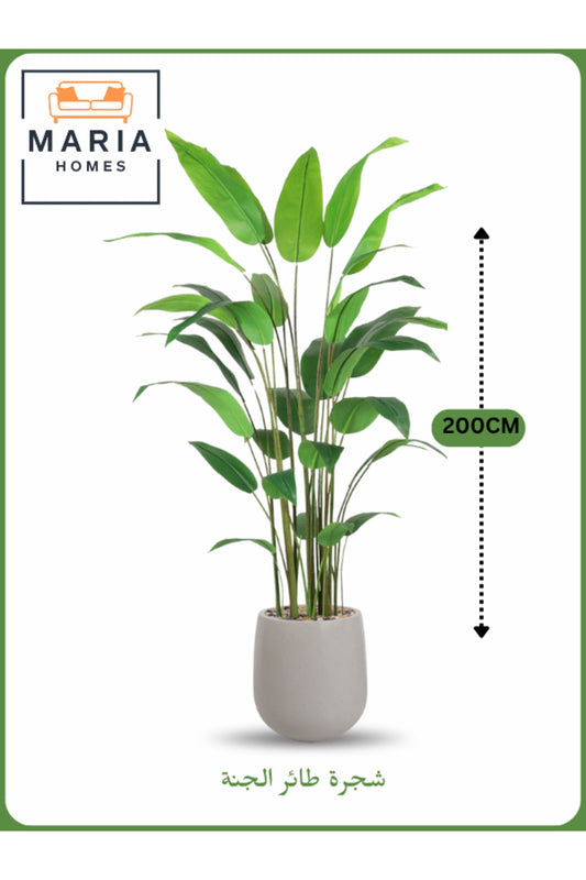 Artificial Bird of Paradise Tree 200 cm Ð Indoor Decorative Plant with GRAY Pot