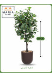 Artificial Lemon Tree 115 cm Ð Indoor Decorative Plant with Brown Pot