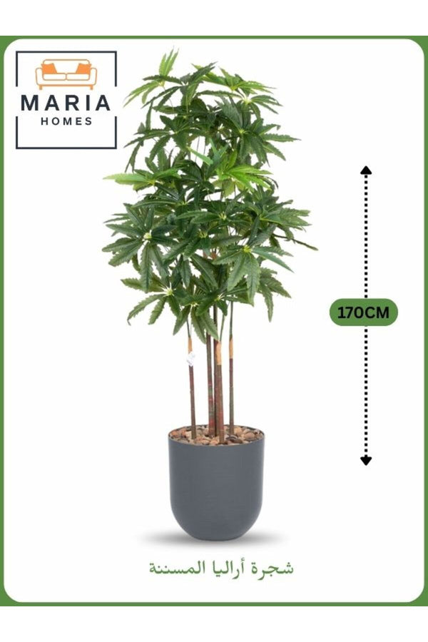 Artificial Aralia Tree 170 cm Ð 5 Branches with Gray Plastic Pot