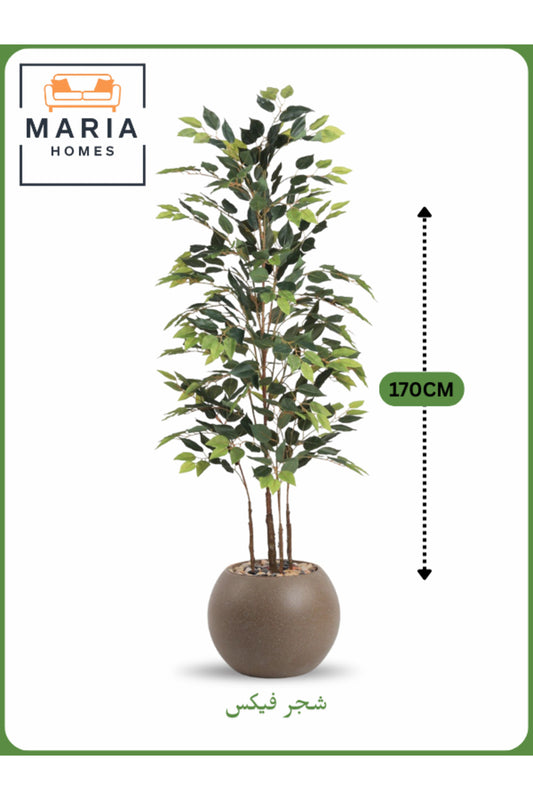 Artificial Ficus Tree 170 cm Ð Indoor Decorative Plant with Brown Pot