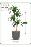 Artificial Corn Leaf Tree 140 cm Ð Indoor Decorative Plant with Gray Pot
