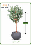 Artificial Olive Tree 210 cm Ð Large Decorative Tree with Dark Gray Pot