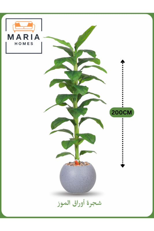 Artificial Banana Leaf Tree 200 cm Ð Indoor Decorative Plant with Light GRAY Pot