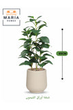 Artificial LEMON Tree 150 cm Ð Decorative Green Plant with Modern Plastic Pot
