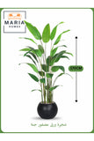 Artificial Bird of Paradise Tree 170 cm Ð Indoor Faux Plant with Black Pot
